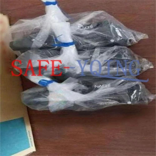 1PCS NACHI Solenoid Valve SS-G01-C6-R-C115-E31 NEW