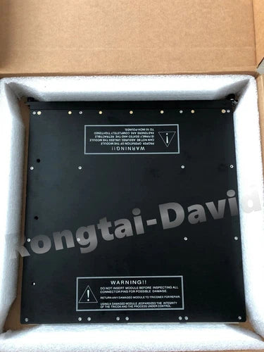Brand New TRICONEX 4201 module In Box