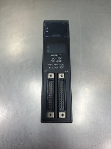 GE FANUC IC693MDL753F 32PT Output Module, 12/24VDC.                        3D-47