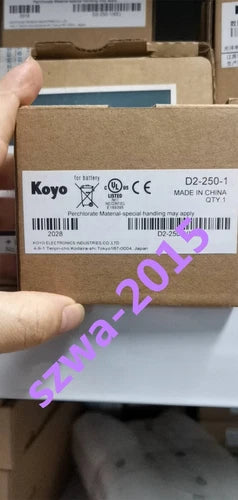 1 PCS New koyo module D2-250-1 #F3